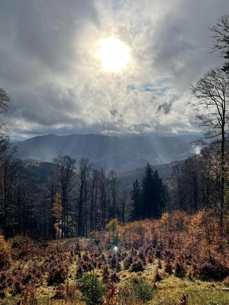 Le Spitzacker Familial Au Calme Ferienhaus Husseren-Wesserling