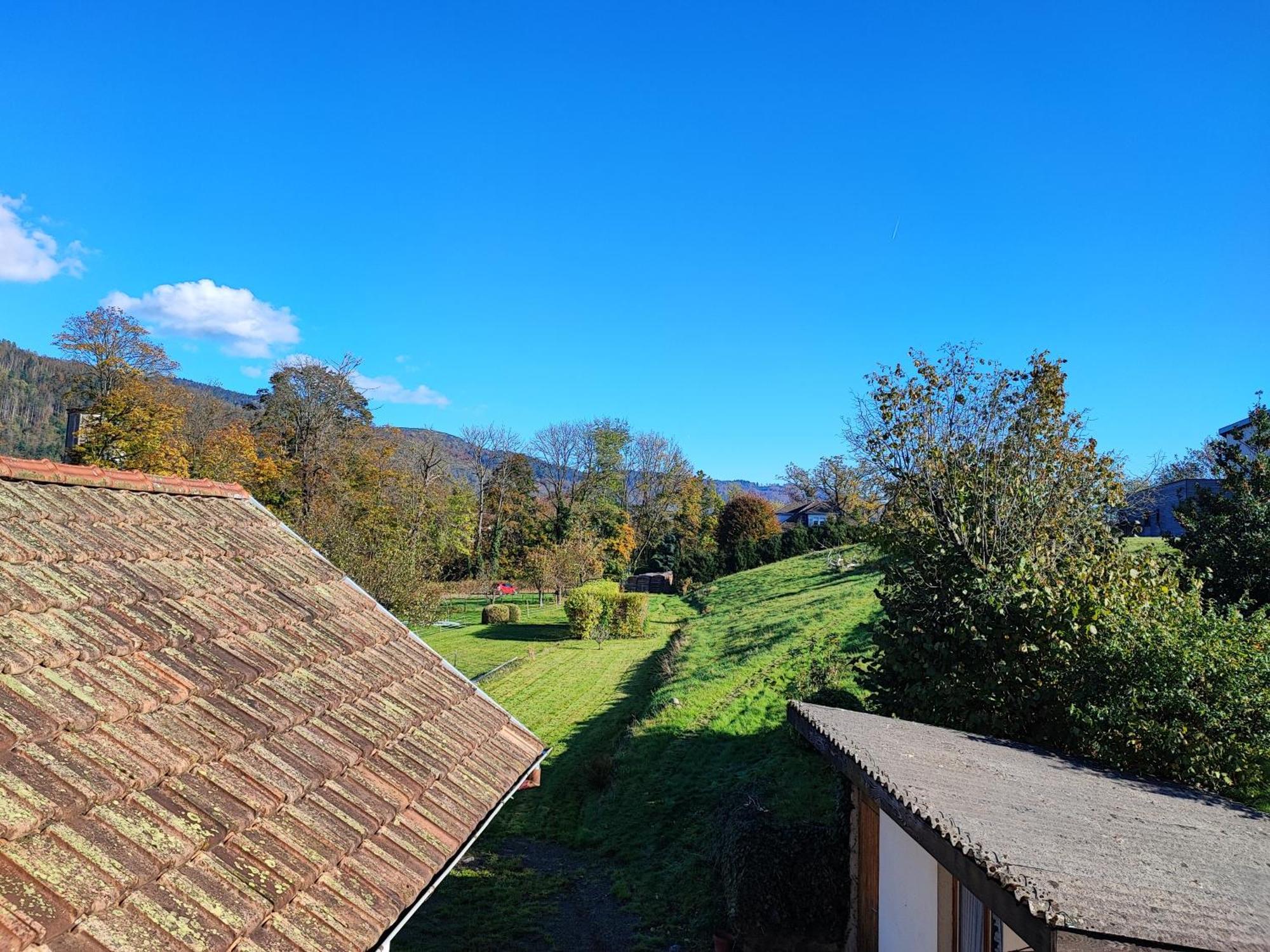 Le Spitzacker Familial Au Calme Husseren-Wesserling